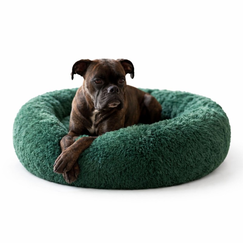 duze-legowisko-dla-psa-chmurka-pluszowa-butelkowa-zielen-pies-w-legowisku.jpg