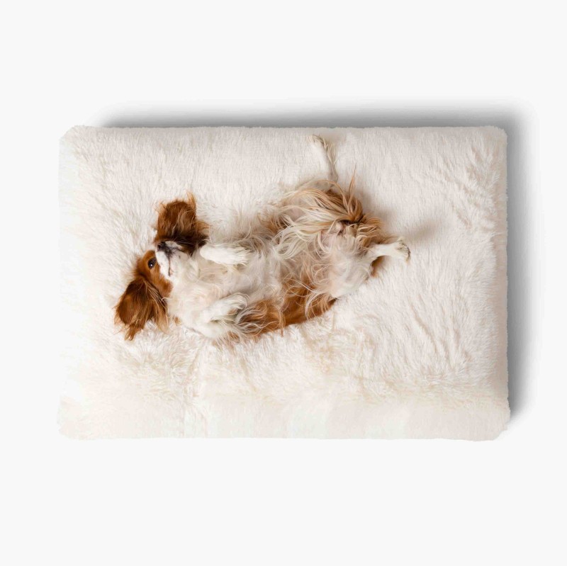 LEGOWISKA PLUSZOWE-12.jpg