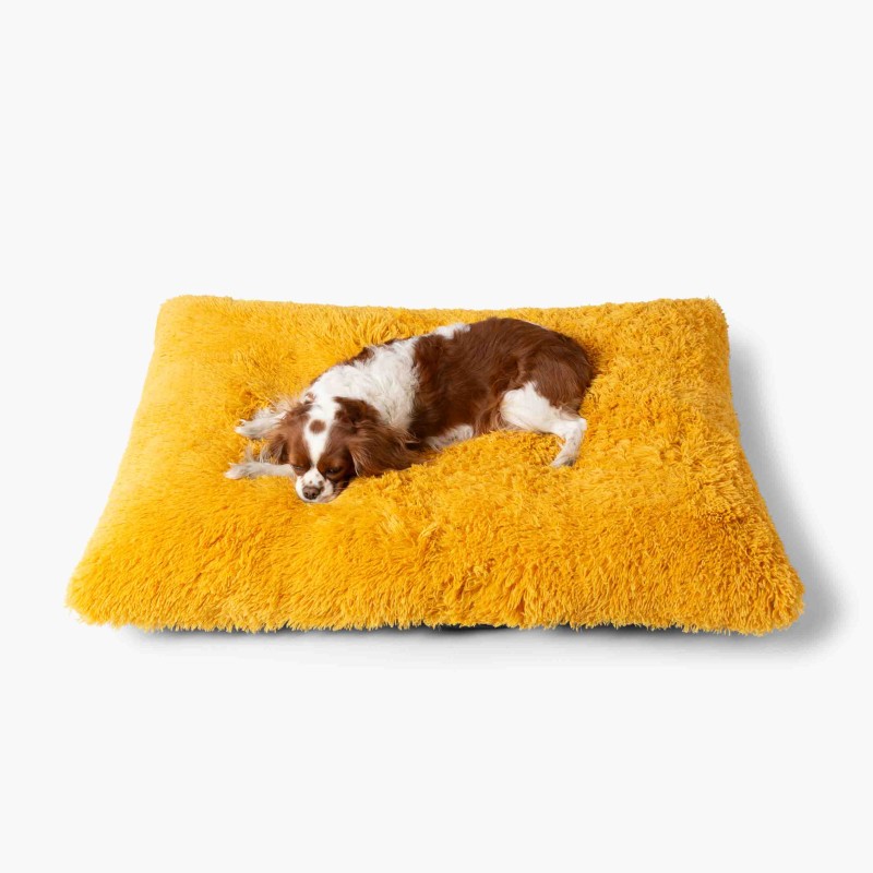 LEGOWISKA PLUSZOWE-24.jpg