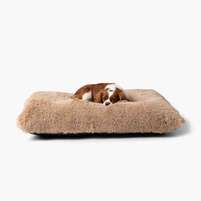 LEGOWISKA PLUSZOWE-5.jpg