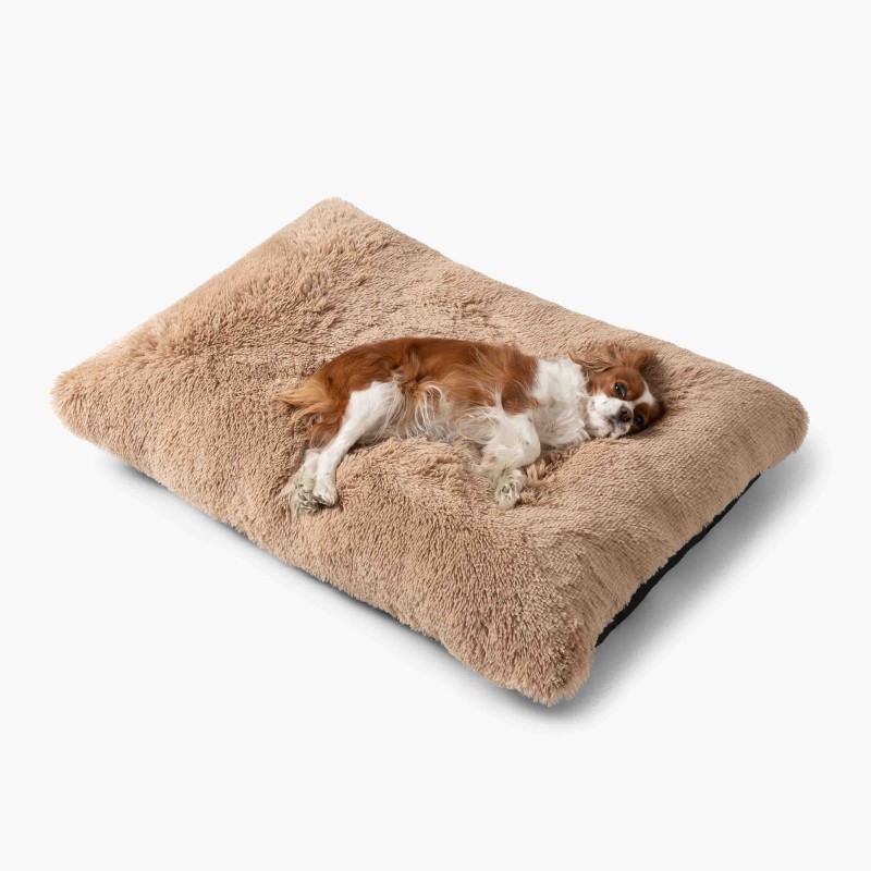 LEGOWISKA PLUSZOWE-6.jpg