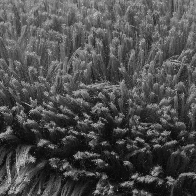 LEGOWISKA PLUSZOWE-40.jpg