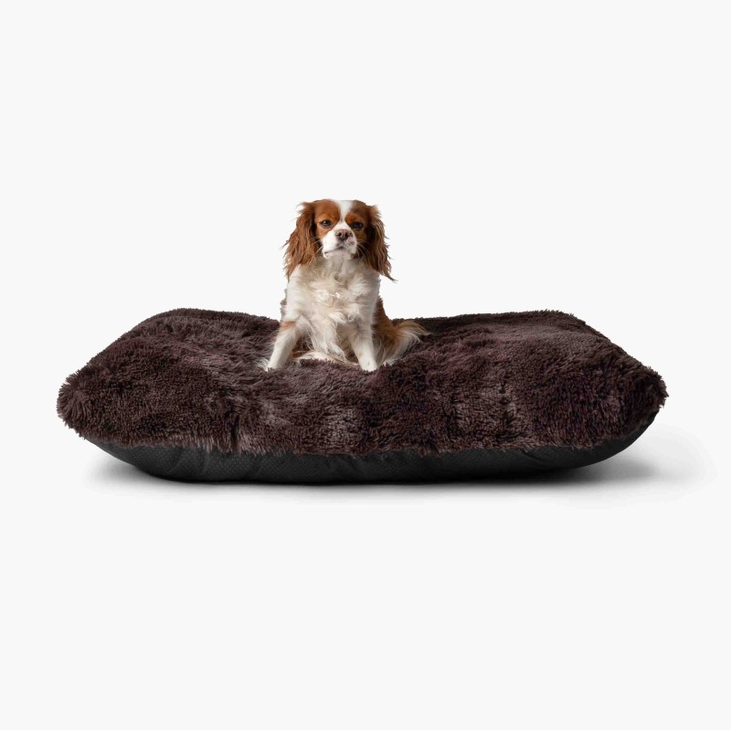 LEGOWISKA PLUSZOWE-35.jpg