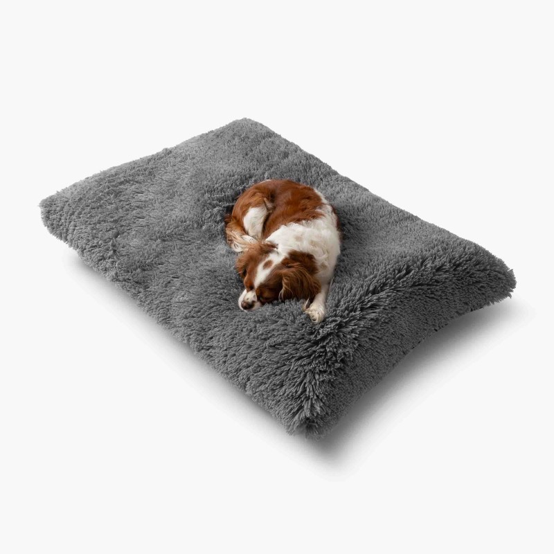 LEGOWISKA PLUSZOWE-48.jpg