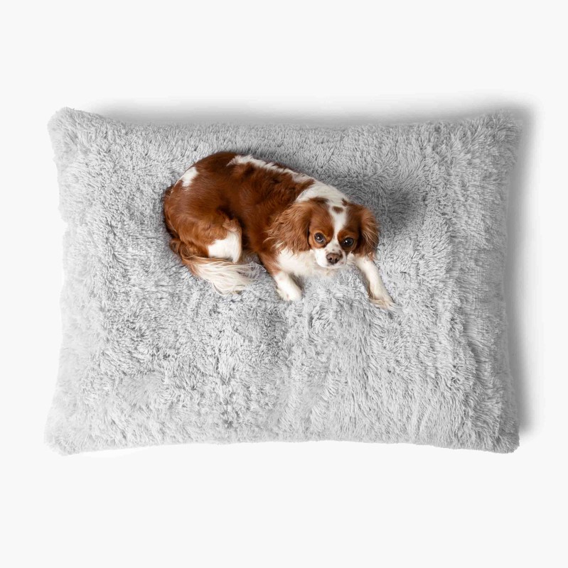 LEGOWISKA PLUSZOWE-54.jpg