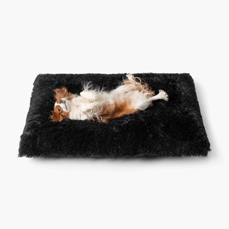 LEGOWISKA PLUSZOWE-42.jpg