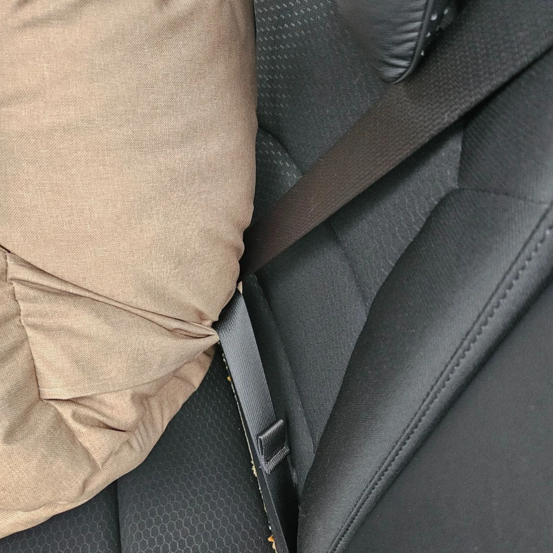 hundbilstol-beige-2i1-hundbadd8.jpg