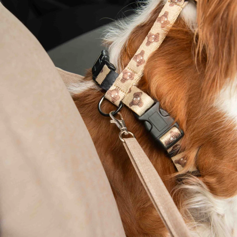 hundbilstol-beige-2i1-hundbadd14.jpg