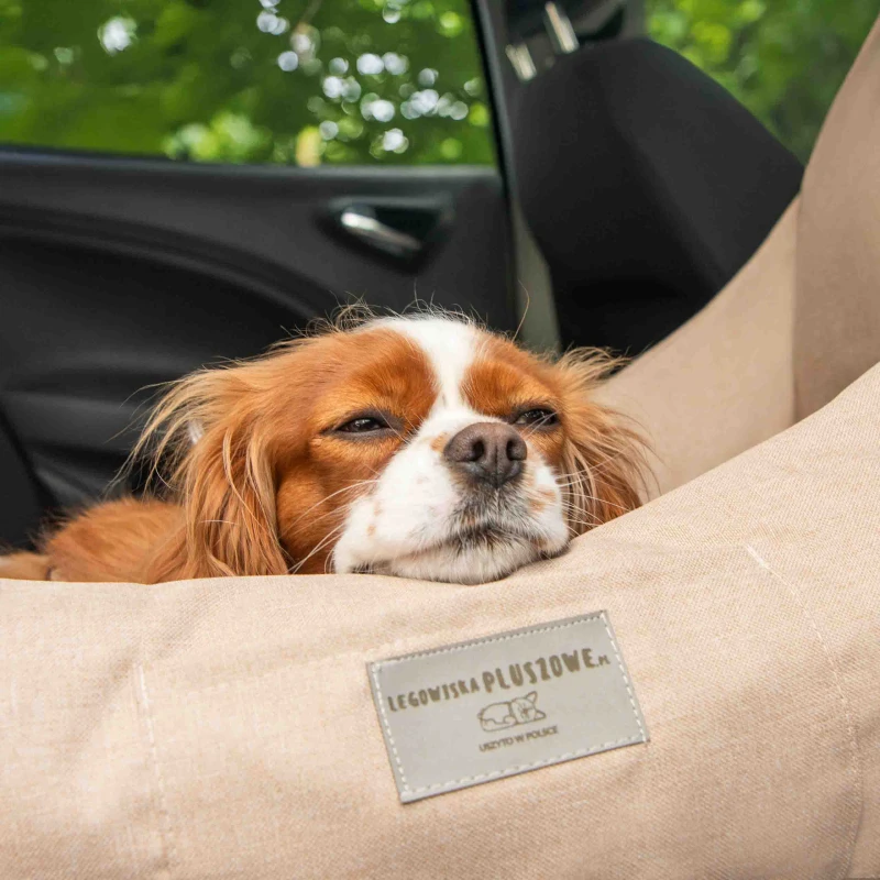 hundbilstol-beige-2i1-hundbadd11.jpg