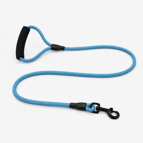 Smycz dla Psa Nylonowa DAILY Blue