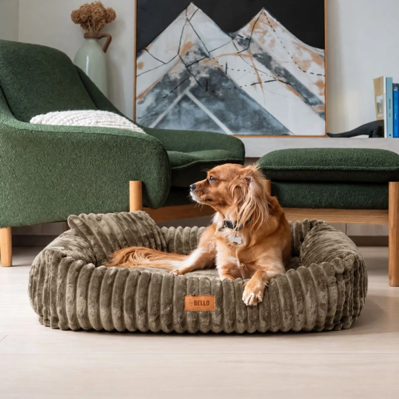 hundbadd-bello-olivgron-7.jpg