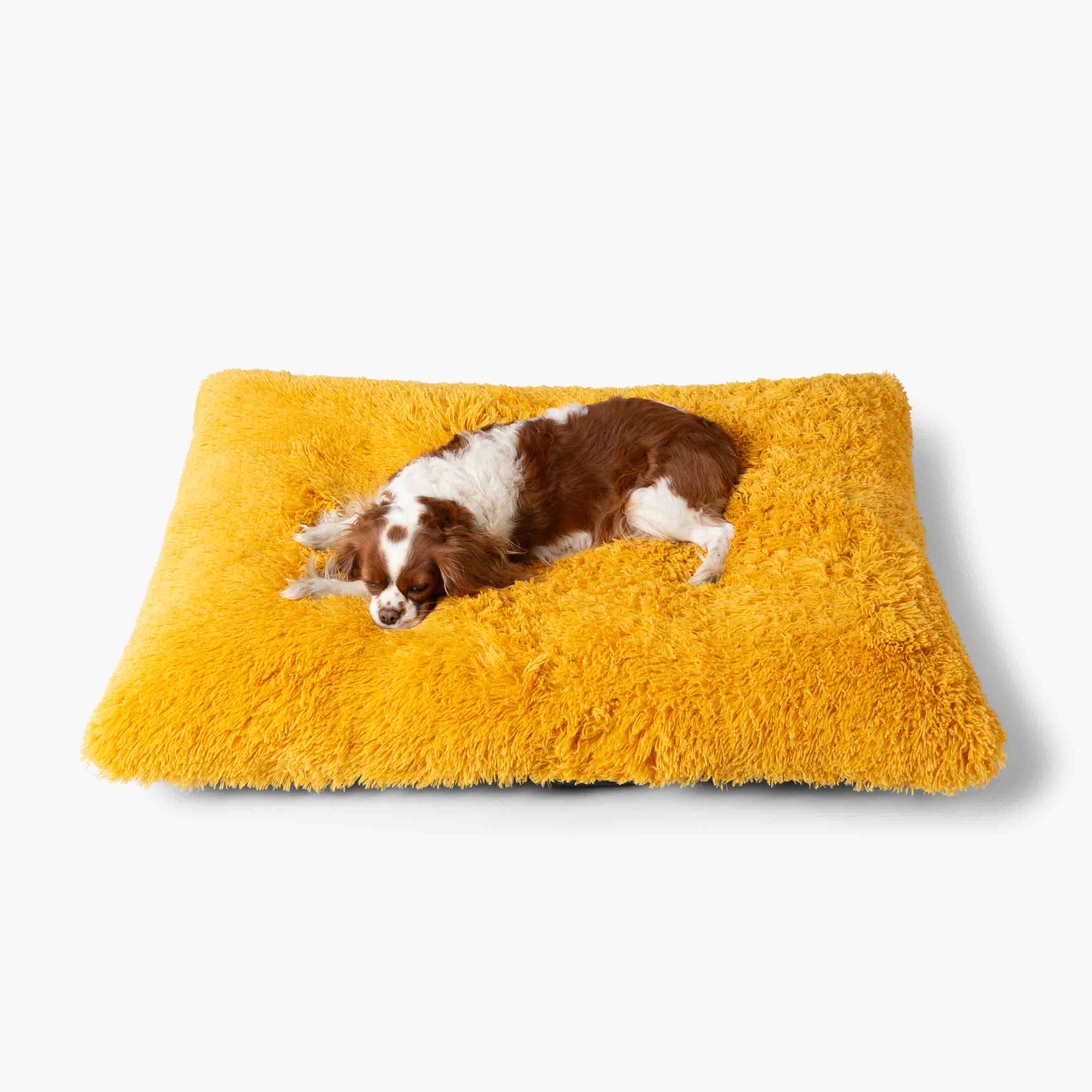 miodowe legowisko dla psa poducha pluszowa miękka